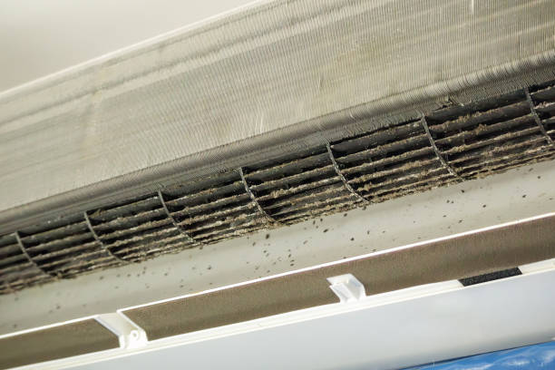 Best Local Air Duct Cleaning Services  in Syracuse, NY