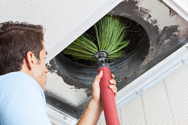 Best Air Duct Mold Removal  in Syracuse, NY
